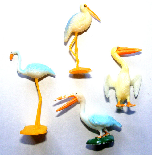 Flamingo storch pelikan - flamingo,