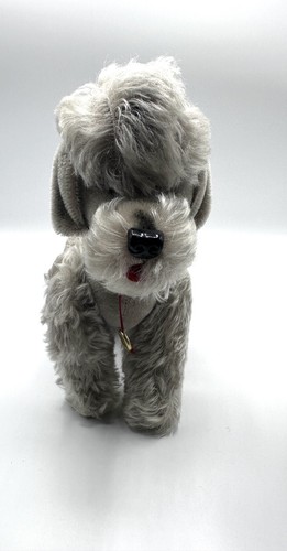 Pudel hund hermann - hund,