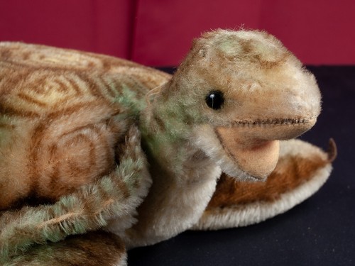 Schildkröte stoffschildkröte - schildkröte,