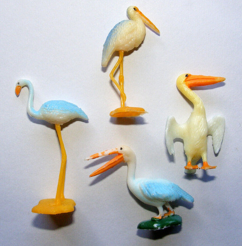 Flamingo storch pelikan - flamingo,
