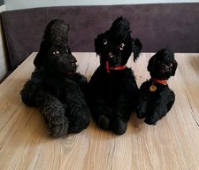 3 Königspudel Konvolut