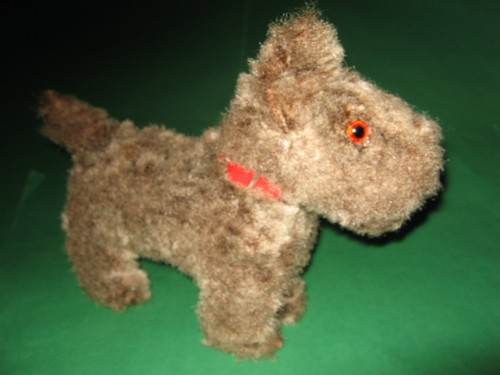 Ausdrucksvoller alter hund mit - alter,